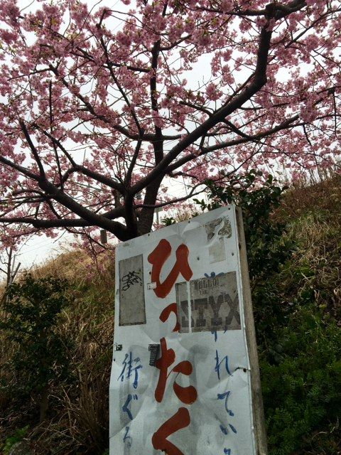 2月24日（水）担当：村上祐資