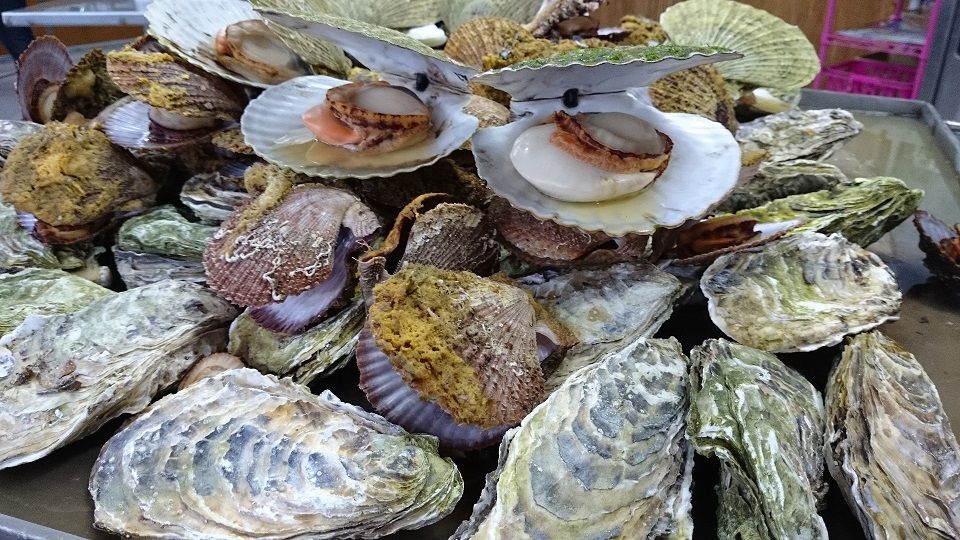 東北復興シリーズ～明日へ歩む人たち「気仙沼編」