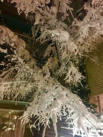 1月23日（火）今日の1コマ　