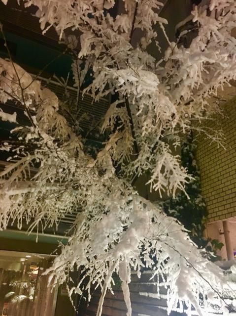 1月23日（火）今日の1コマ　