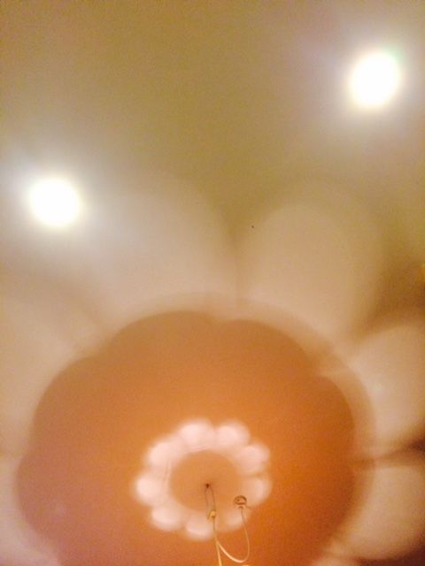 9月26日（月）今日の1コマ