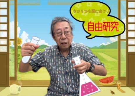 今からでも間に合う自由研究