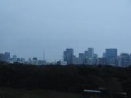 １２月１９日（木）