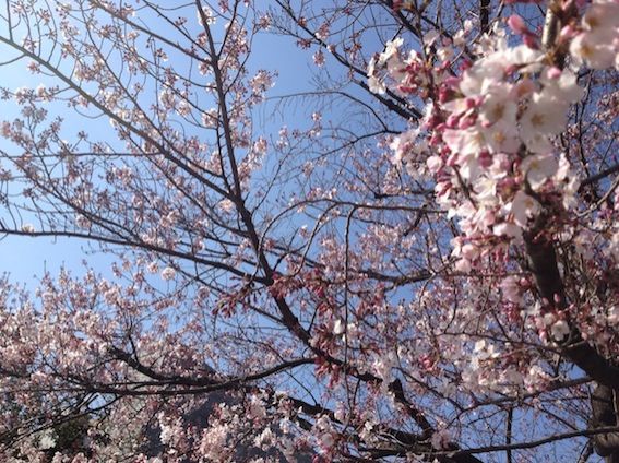 3月29日（火） simple style