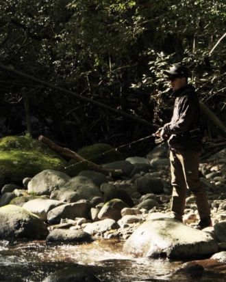 11月1日(月)オンプラテーマは「本棚、ありますか？」