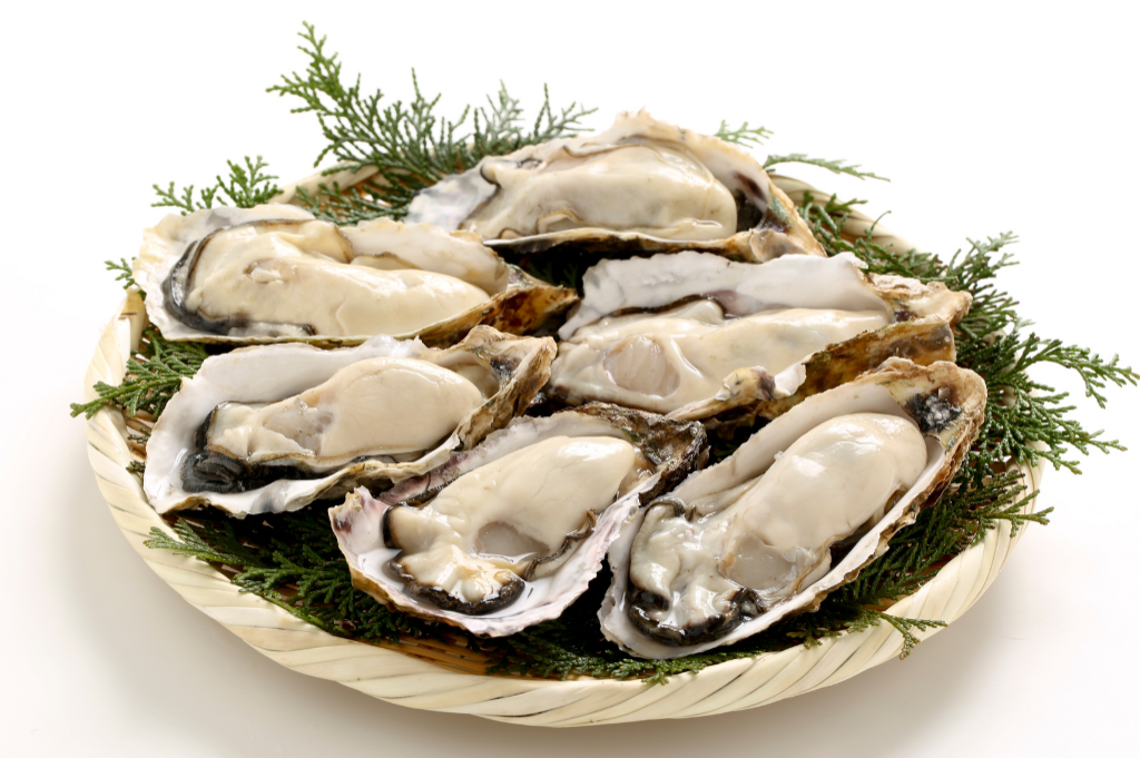 「牡蠣殻の再利用」