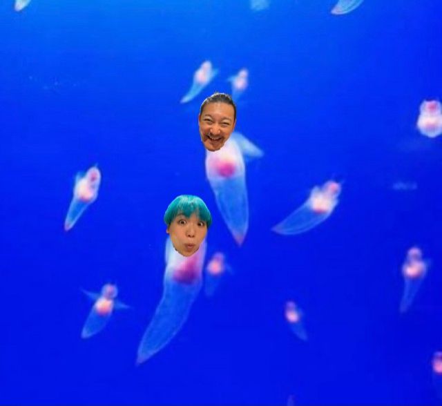 2022年10月12日(水)放送終了！