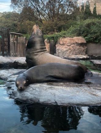12月3日(火)今日の1コマ♪