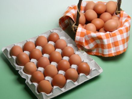 今日のお取り寄せプレゼント！