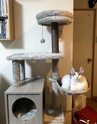 1月11日（月）　今日の1コマ