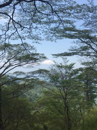 5月22日（月）今日の1コマ