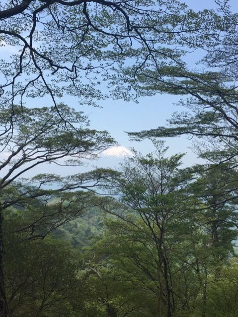 5月22日（月）今日の1コマ