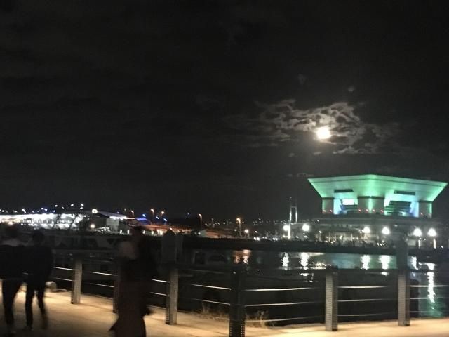 11月29日（木）今日の一コマ♪