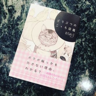 D[di:]さんの朗読～「サイとツケまつ毛」