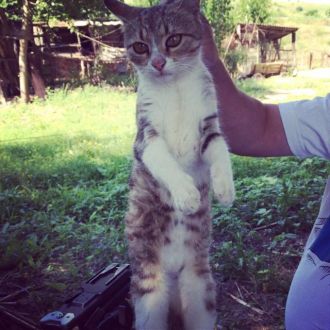 3月13日（火）今日の1コマ　