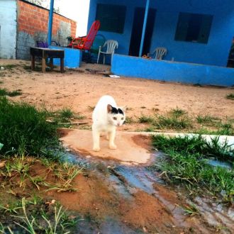 10月4日（火）今日の1コマ