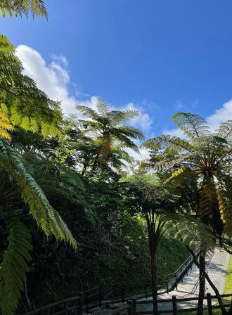 ラジオドラマ【Dear Japan～沖縄名護～第二話(沖縄のぜんざい・てんぷら)】