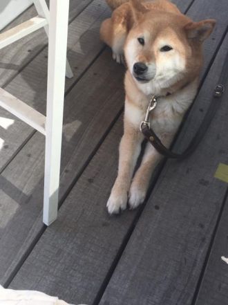 4月25日（月）今日の1コマ