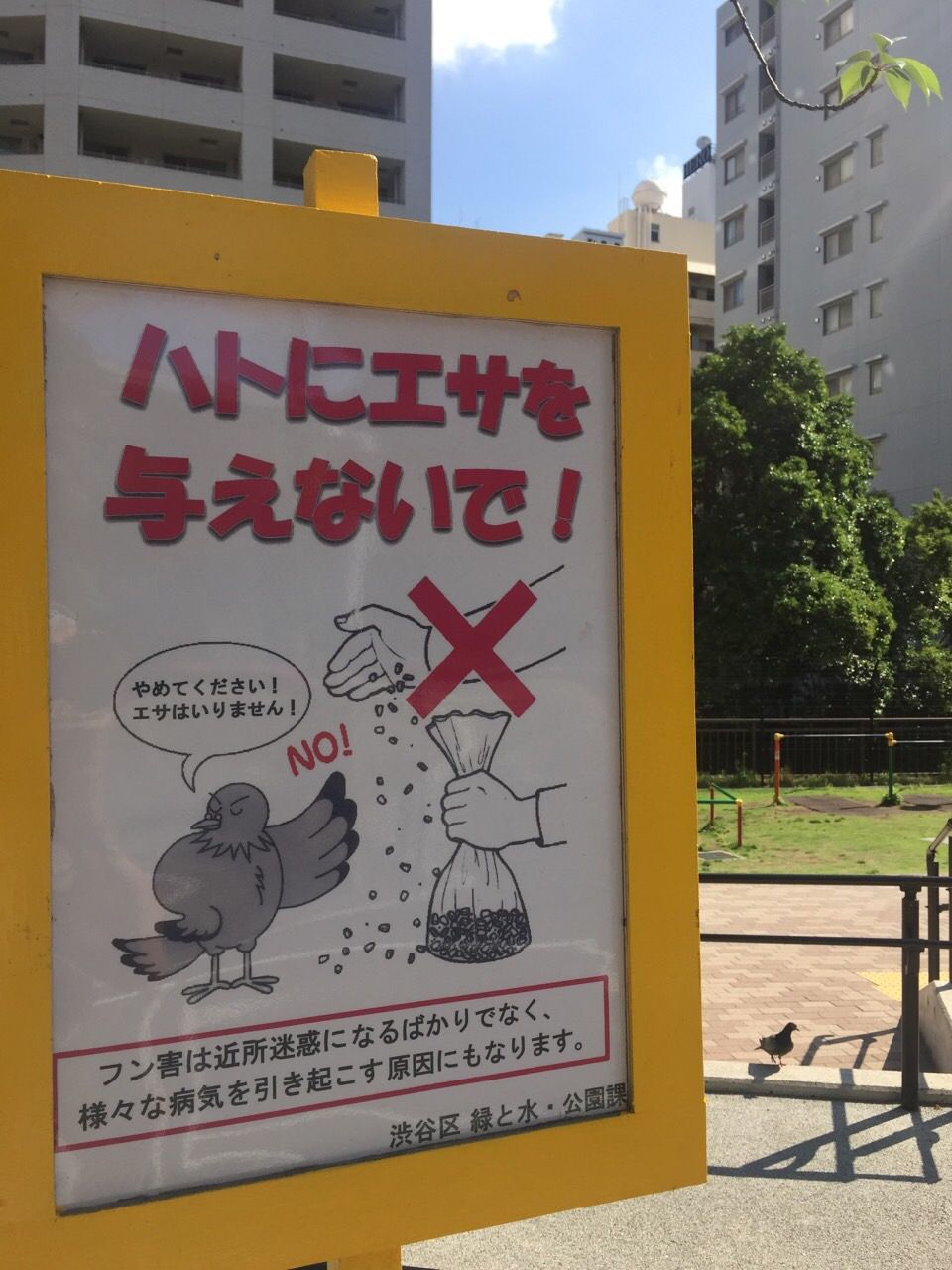  5/25（月）担当：テット・ワダ