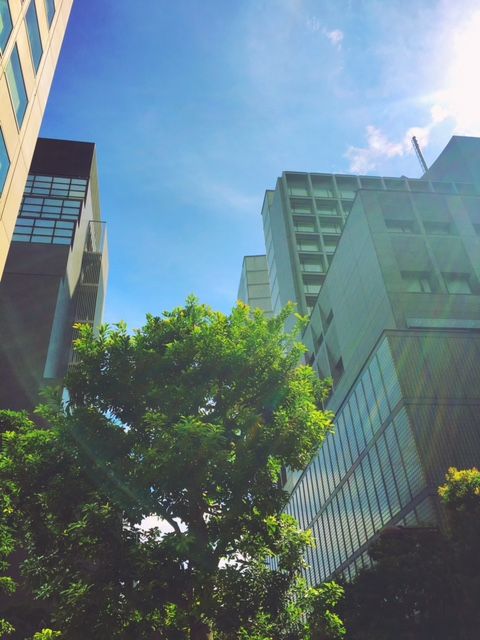 9月28日（水）simple style