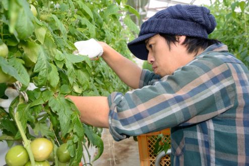 新たな農業の担い手を育成／静岡県経済産業部農業局農業ビジネス課 