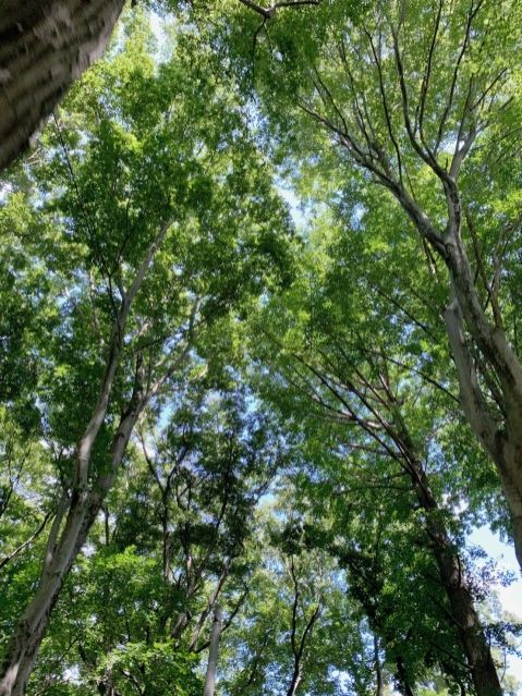 8月6日(金)今日の1コマ♪