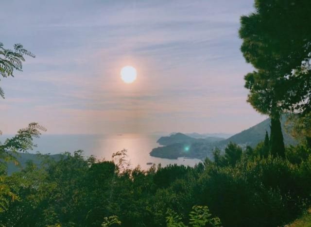 2月10日（月）　今日の1コマ　