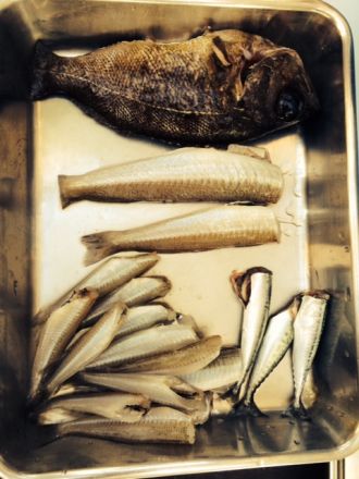 斎藤リョーツのいただき！BBQ最高！！