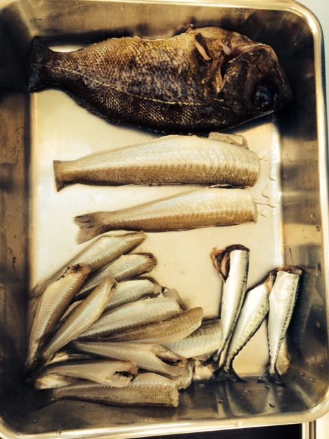 斎藤リョーツのいただき！BBQ最高！！