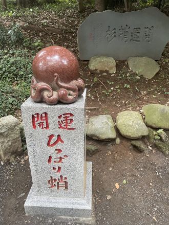 チェさんは今週も高尾山！