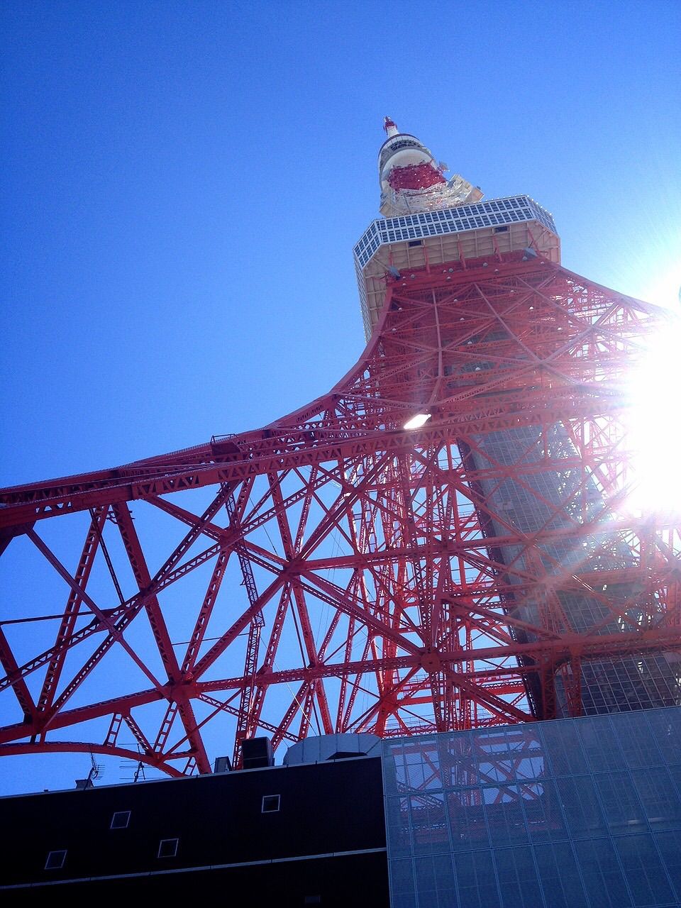 11月19日（木）今日の1コマ