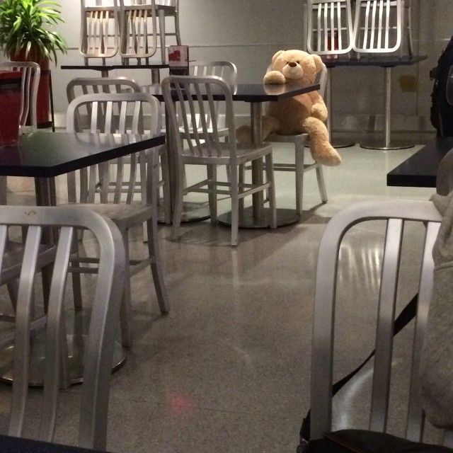 6月8日（火）今日の1コマ