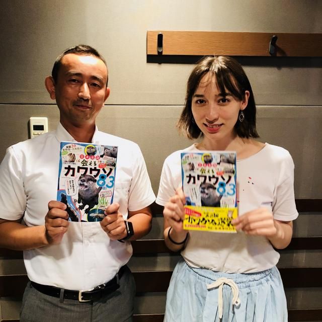 可愛い、カワウソゥ選挙！！