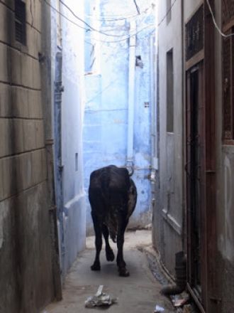 8月12日（水）今日の一コマ