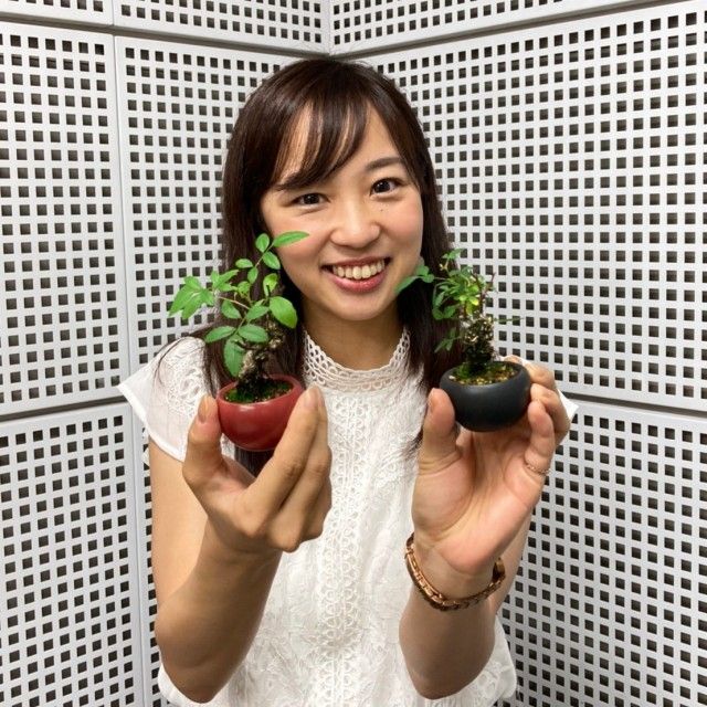 【わくわくニスト】#2 手のひら盆栽のスペシャリスト ビリさん（後編）