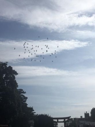 3月28日（水）今日の一コマ