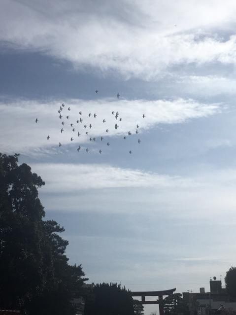 3月28日（水）今日の一コマ