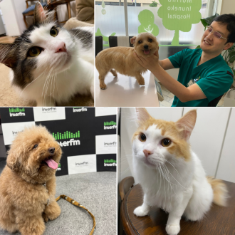 DJmapiとニシカツ先生の朝みみ！保健室へようこそ！　?ちゃんは「水仙」に注意⚠️ 　?‍⬛ちゃんは「植物関係」の中毒が多い理由?その理由も学びます！