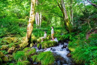 -水守 mimori- 松田 彩子さん 坂上 萌さん【ふるステ】