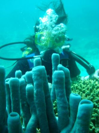 7月30日（木）今日の一コマ