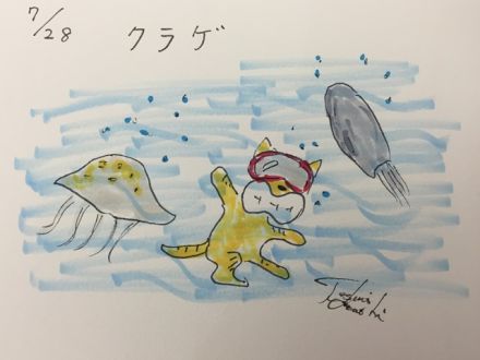 7月28日のデリフラは・・・