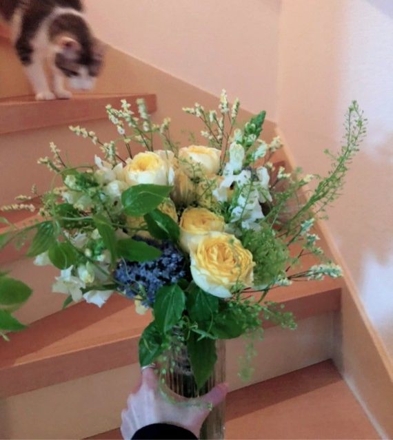 5月4日（火）今日の1コマ♪