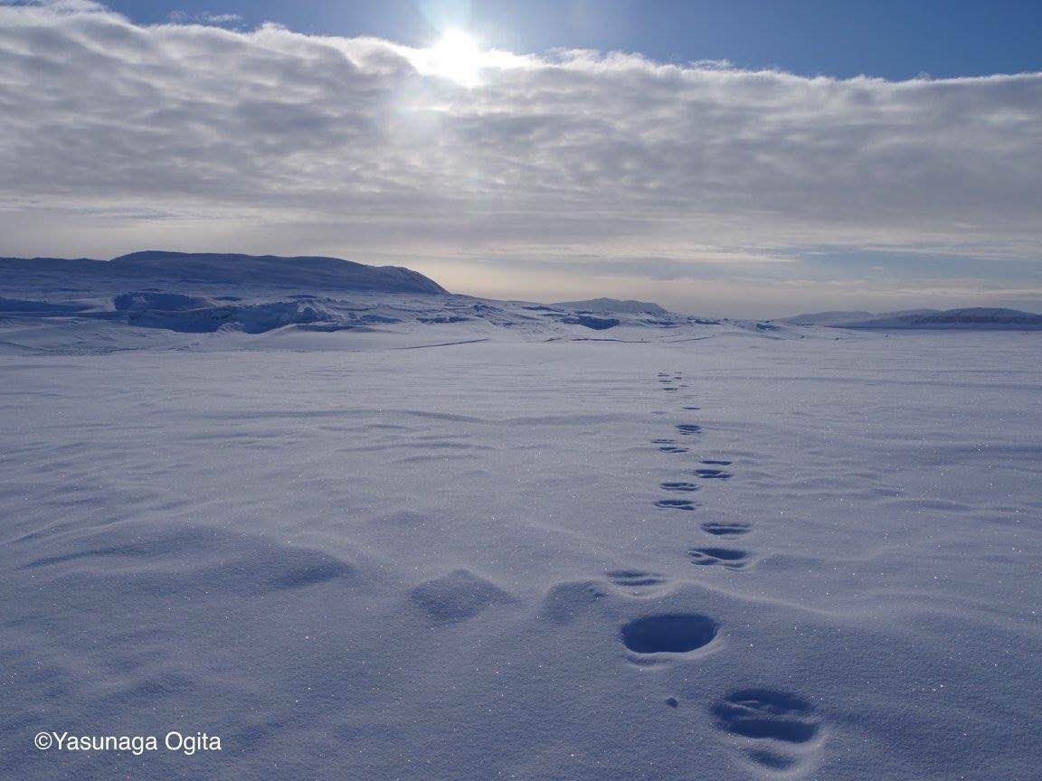 ★北極男の小部屋★