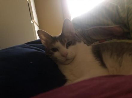 2月17日（月）　今日の1コマ　