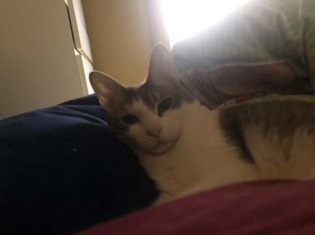 2月17日（月）　今日の1コマ　