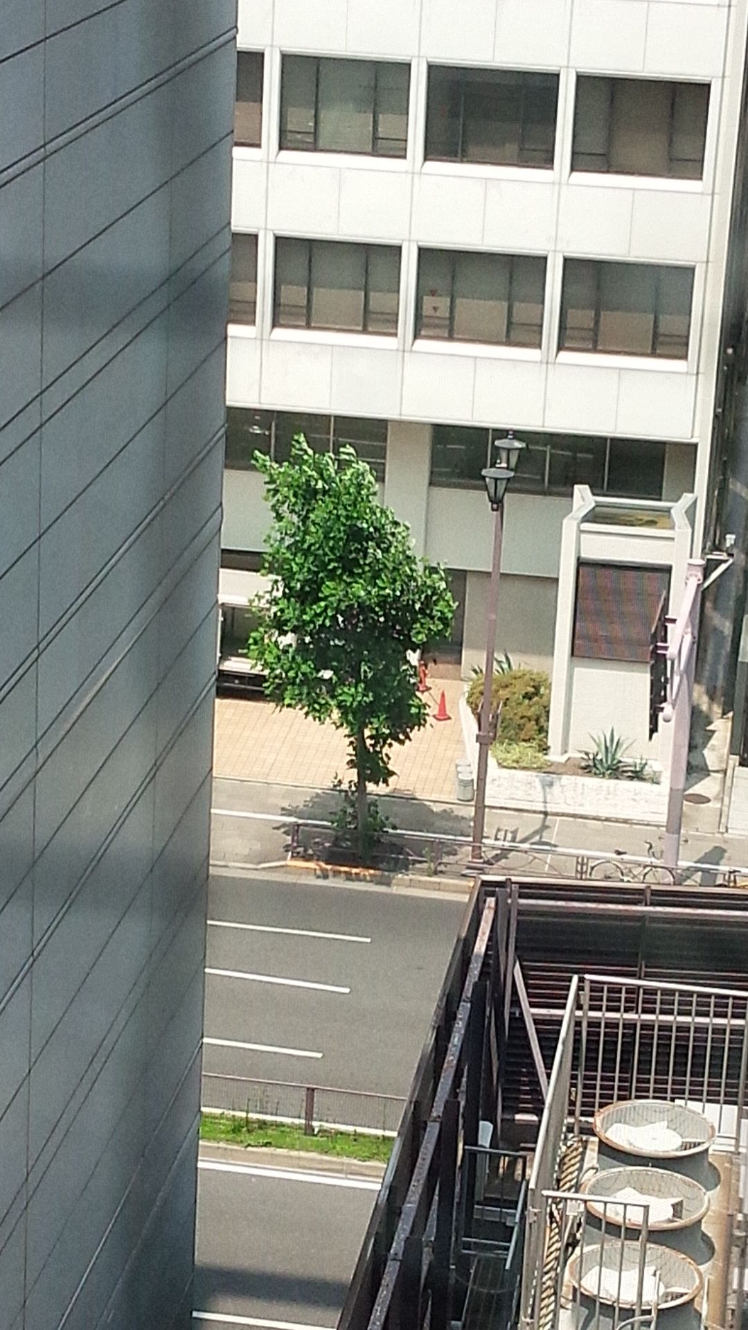 7月31日（木）のデリフラは…