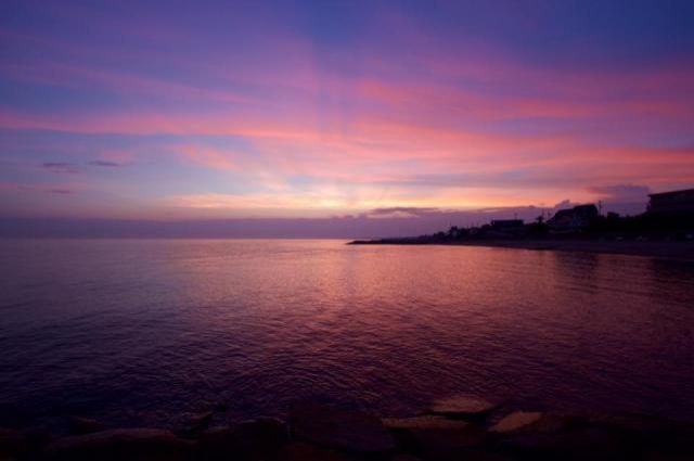 今日のゲストは、、、、