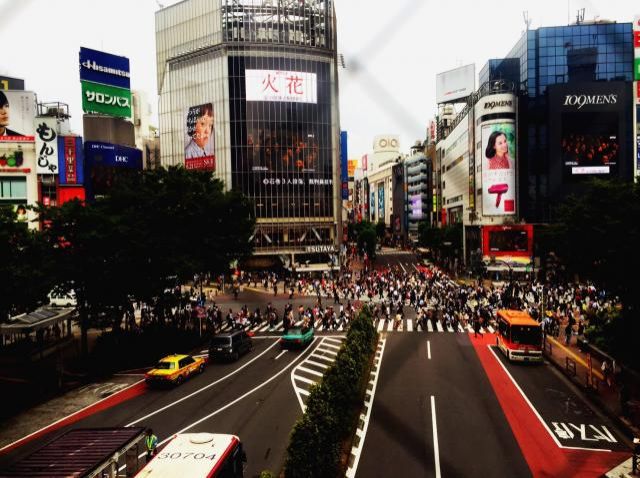 6月29日（水）今日の1コマ