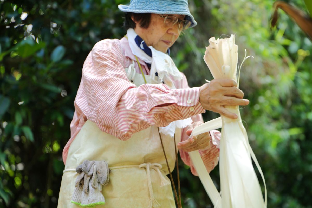 COSMO ECO Marché【10月23日放送】 