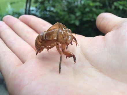 8月15日（月）今日の1コマ